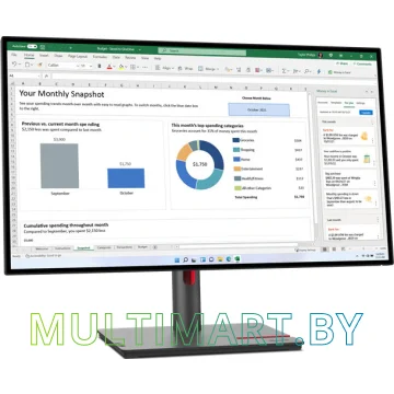 Монитор Lenovo ThinkVision P27h-30 63A1GAT1EU